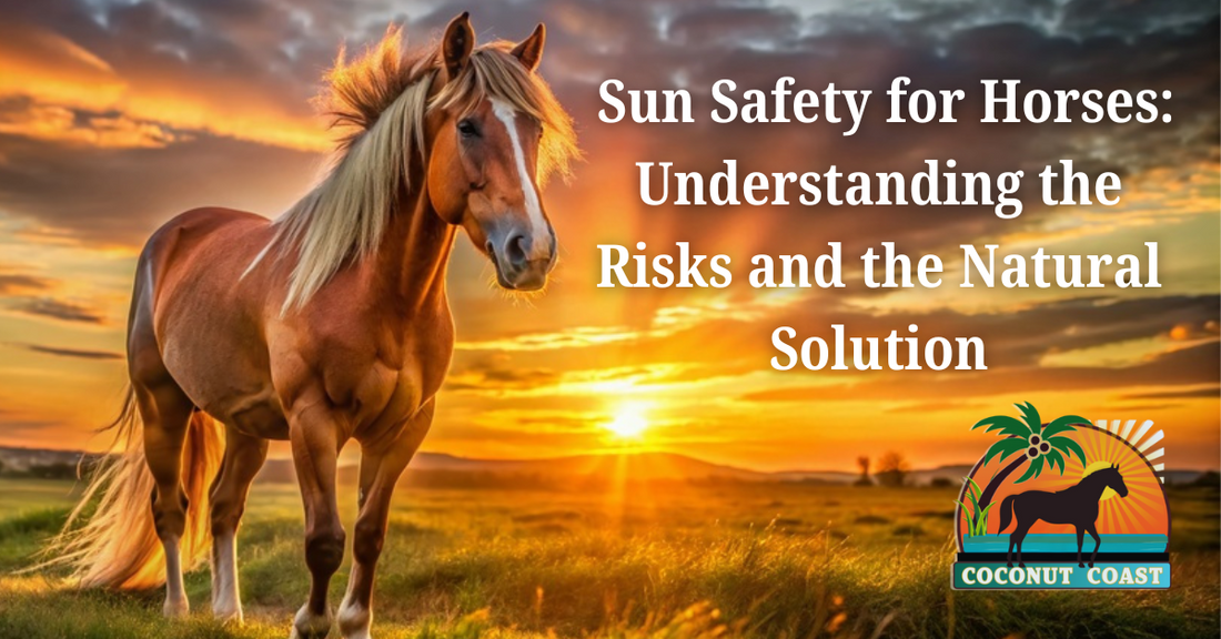 Sun Safety for Horses: Understanding the Risks and the Natural Solution