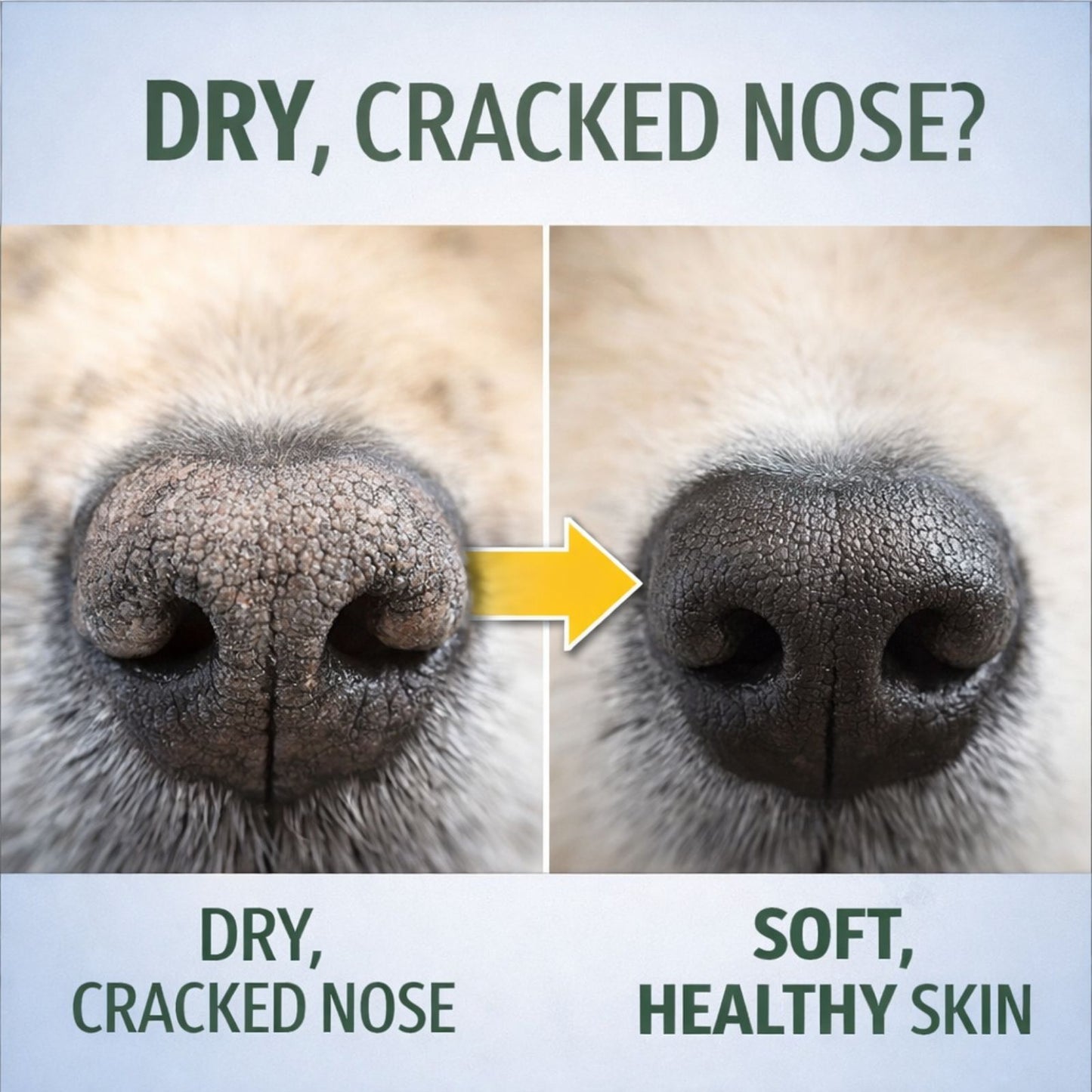 Coconut Coast Paw & Nose Balm Stick (2.2 oz)