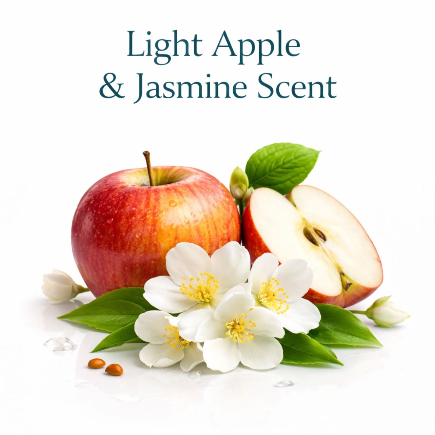 Coconut Coast Dog Shampoo & Conditioner – Palmetto Mist  Soft, Smooth Coats with a Fresh Coastal Finish