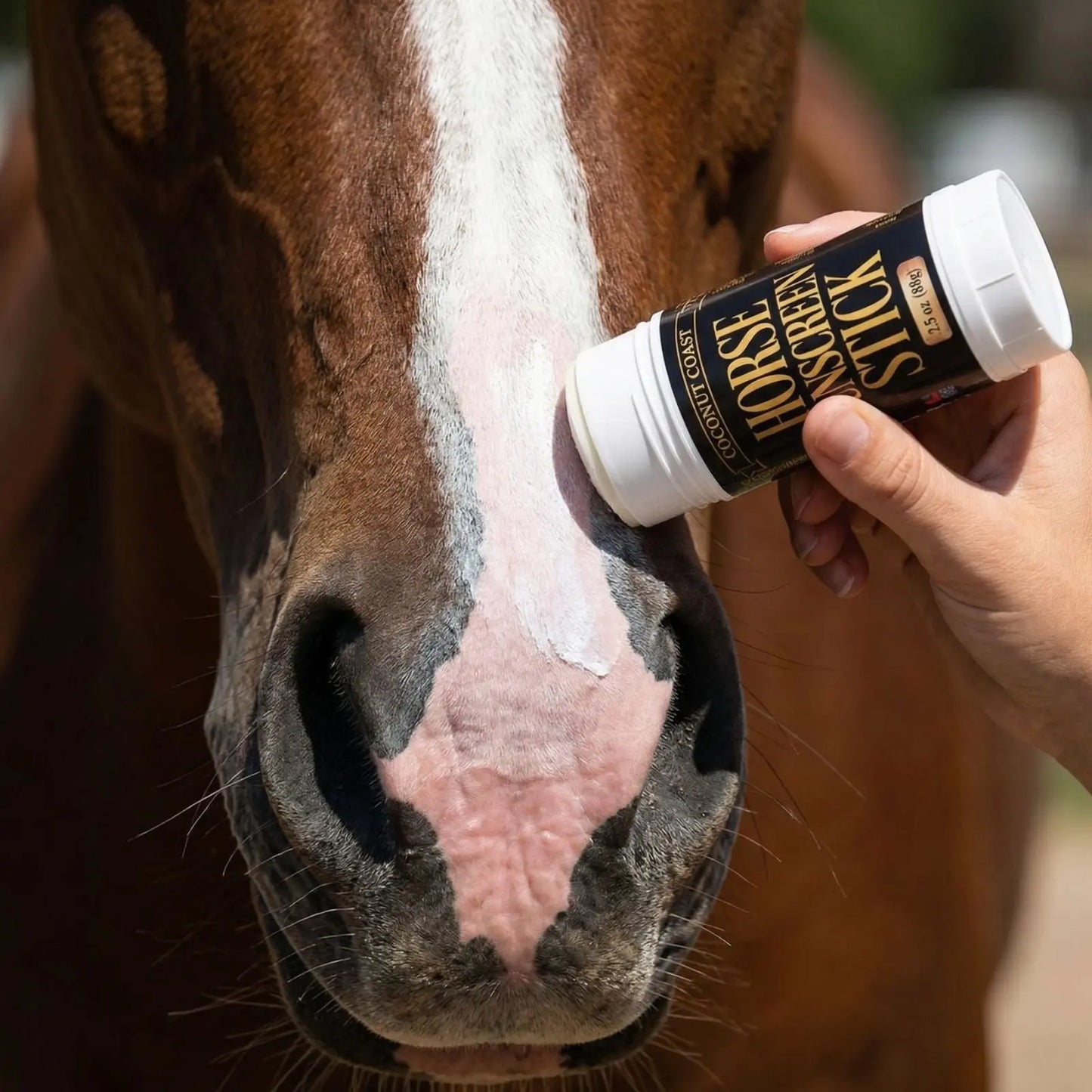 Coconut Coast Horse Sunscreen Stick – Mineral UVA/UVB Protection – 2.2 oz Coconut Coast