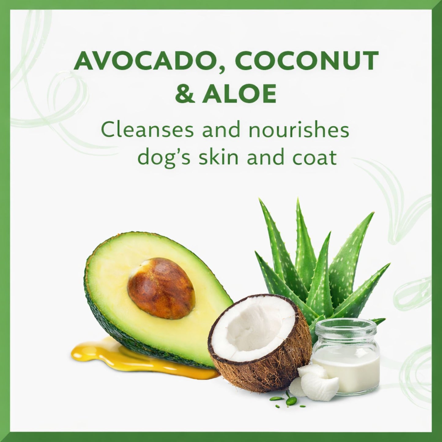 Coconut Coast Dog Shampoo, Conditioner & Detangler Set (Palmetto Mist)