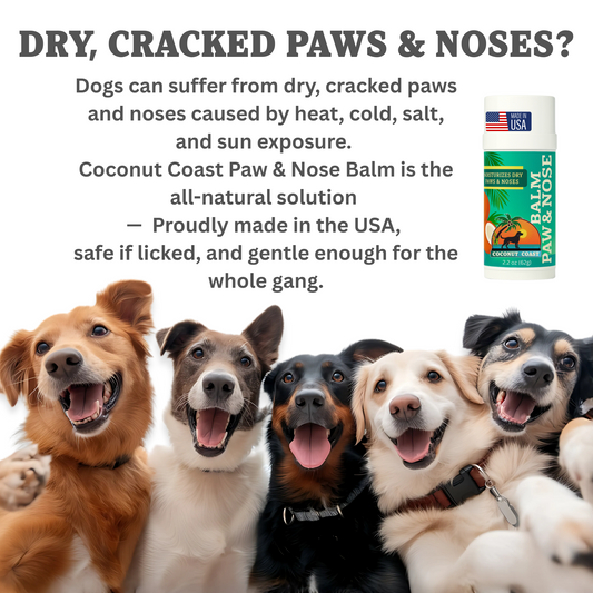 Group of happy dogs with Coconut Coast Paw and Nose Balm 2.2 oz stick, all-natural USA-made balm that heals dry cracked paws and noses from heat, cold, salt, and sun exposure, safe if licked