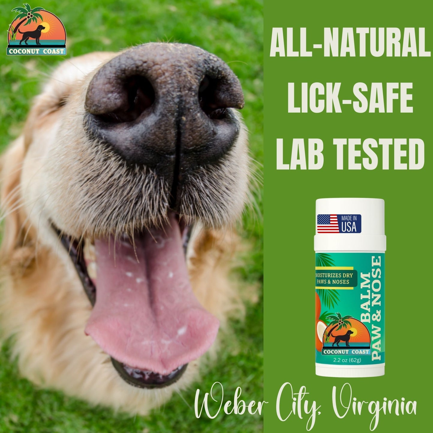 Coconut Coast Paw and Nose Balm 2.2 oz stick with coconut oil, natural oils, sun protection, quick absorption, and lick-safe formula for dogs