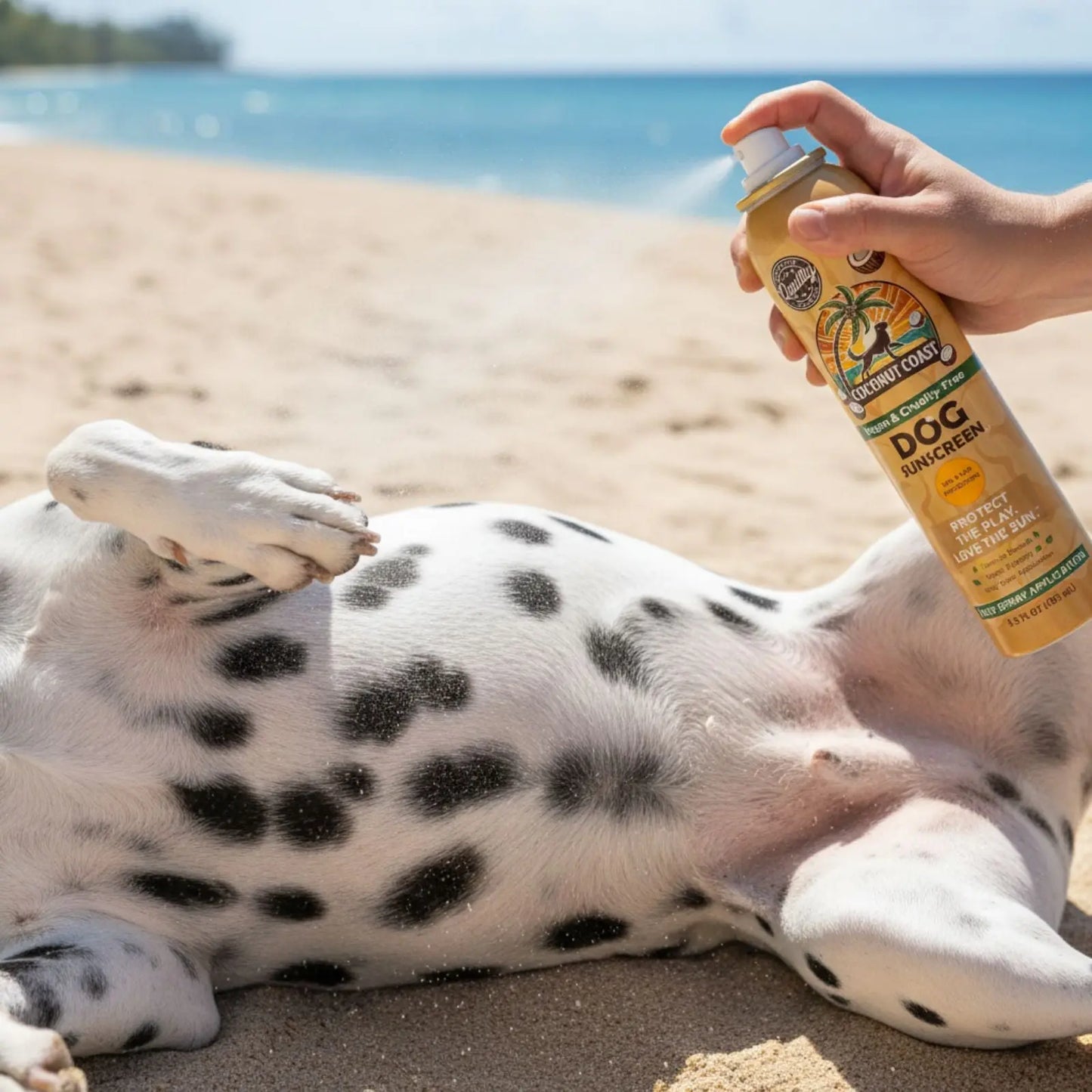 Light coated dog protected from sun with mineral sunscreen spray